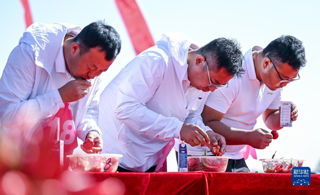 娱乐 棋牌